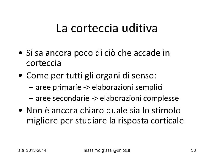 La corteccia uditiva • Si sa ancora poco di ciò che accade in corteccia