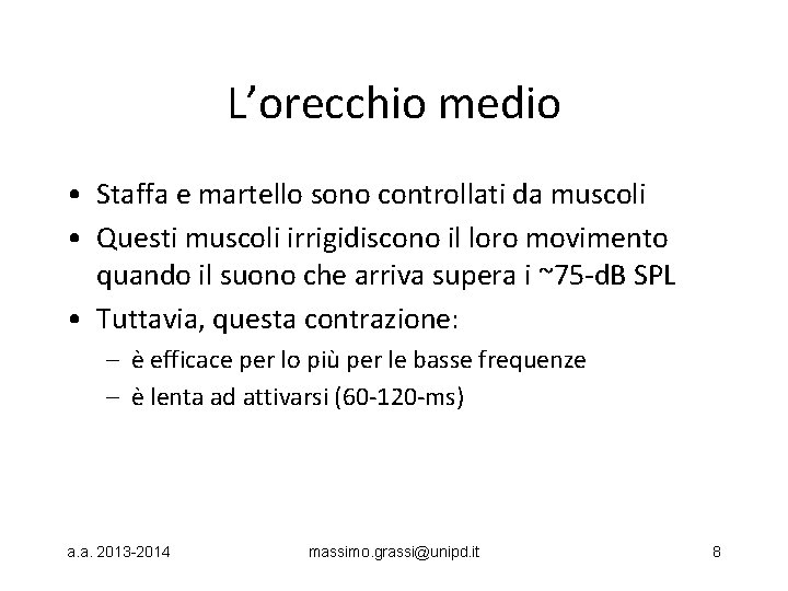 L’orecchio medio • Staffa e martello sono controllati da muscoli • Questi muscoli irrigidiscono