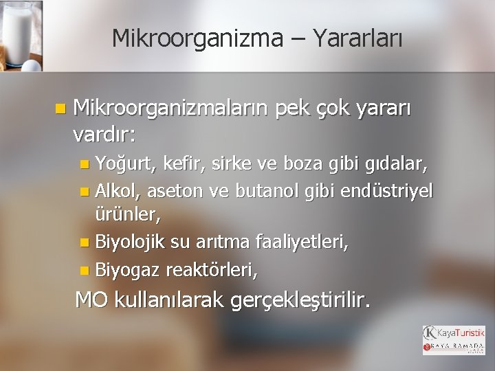 Mikroorganizma – Yararları n Mikroorganizmaların pek çok yararı vardır: n Yoğurt, kefir, sirke ve