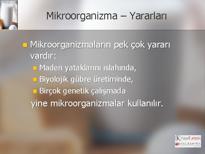 Mikroorganizma – Yararları n Mikroorganizmaların pek çok yararı vardır: n Maden yataklarını ıslahında, n