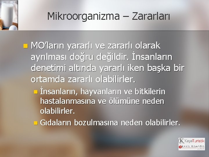 Mikroorganizma – Zararları n MO’ların yararlı ve zararlı olarak ayrılması doğru değildir. İnsanların denetimi