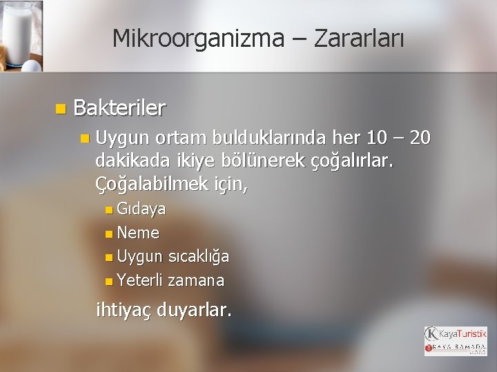 Mikroorganizma – Zararları n Bakteriler n Uygun ortam bulduklarında her 10 – 20 dakikada