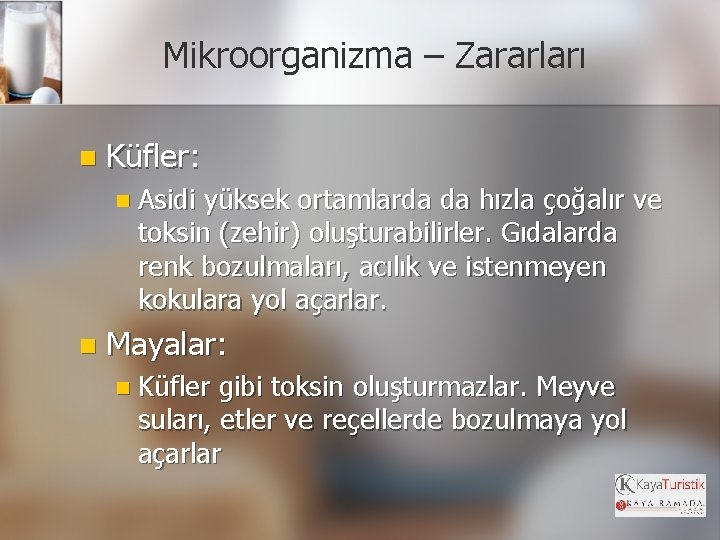 Mikroorganizma – Zararları n Küfler: n Asidi yüksek ortamlarda da hızla çoğalır ve toksin