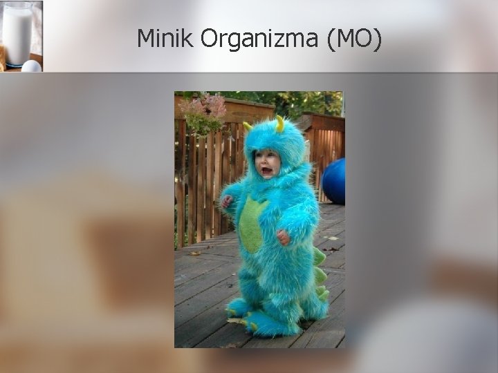 Minik Organizma (MO) 