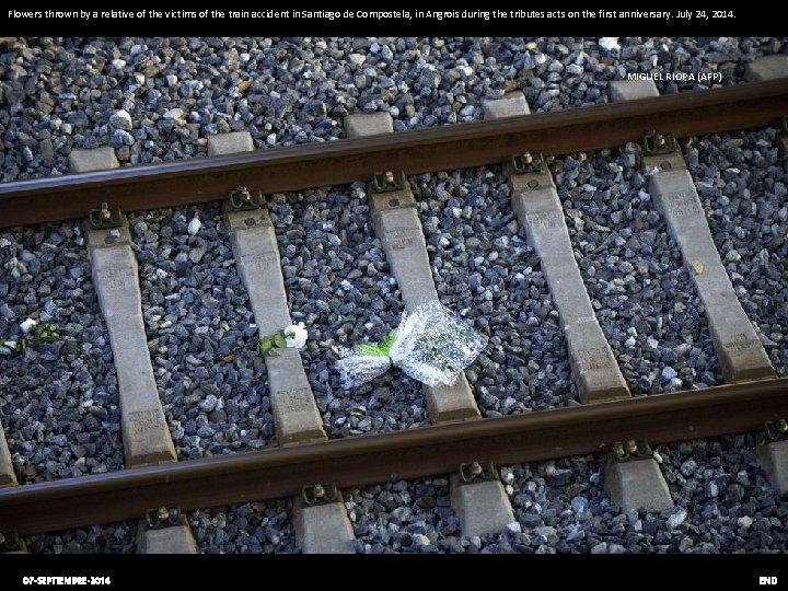 Flowers thrown by a relative of the victims of the train accident in Santiago