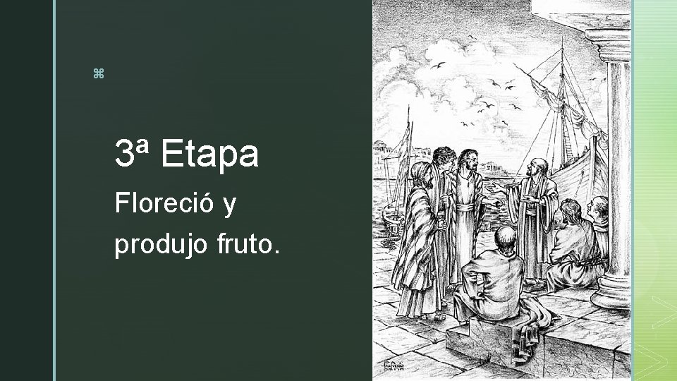 z 3ª Etapa Floreció y produjo fruto. z 3ª Etapa Floreció y produjo fruto.