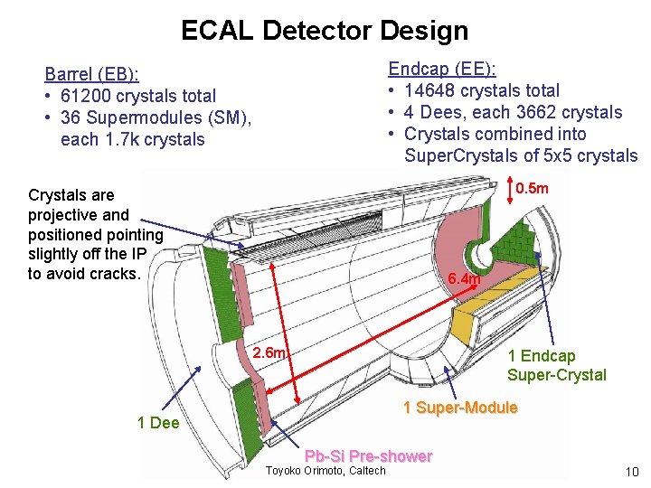 ECAL Detector Design Endcap (EE): • 14648 crystals total • 4 Dees, each 3662
