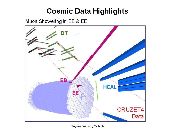 Cosmic Data Highlights Muon Showering in EB & EE DT EB HCAL EE CRUZET