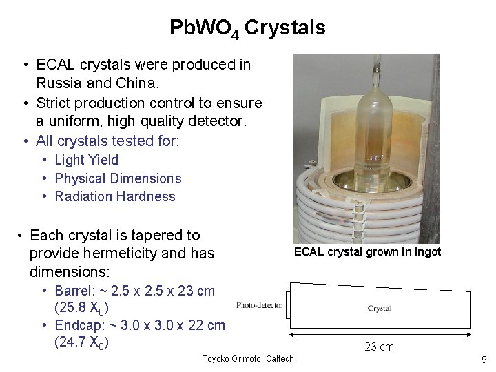 Pb. WO 4 Crystals • ECAL crystals were produced in Russia and China. •
