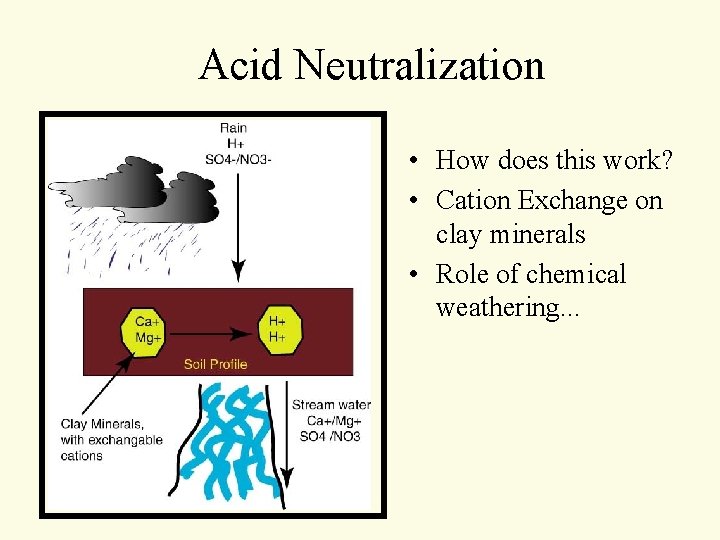 Acid Neutralization • How does this work? • Cation Exchange on clay minerals • Acid Neutralization • How does this work? • Cation Exchange on clay minerals •
