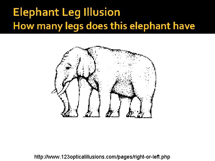 Elephant Leg Illusion How many legs does this elephant have http: //www. 123 opticalillusions.