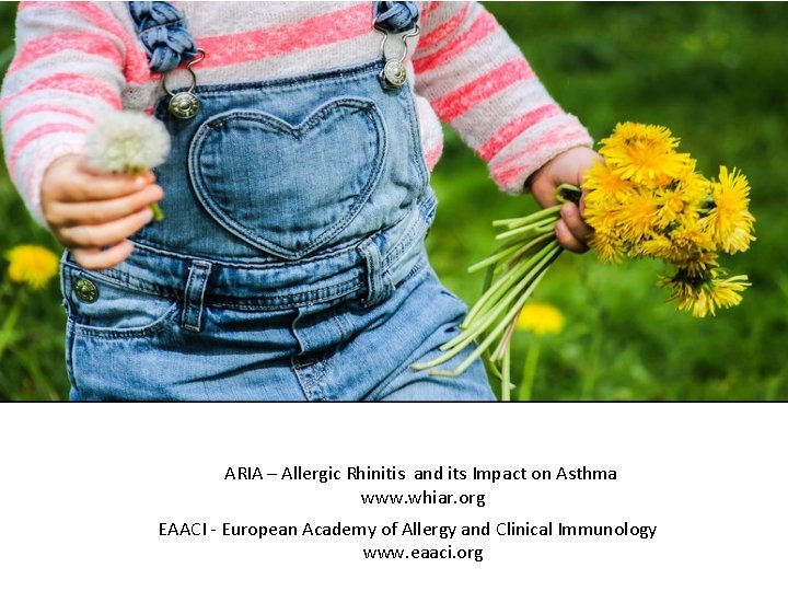 ARIA – Allergic Rhinitis and its Impact on Asthma www. whiar. org EAACI -