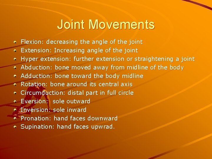 Joint Movements Flexion: decreasing the angle of the joint Extension: Increasing angle of the