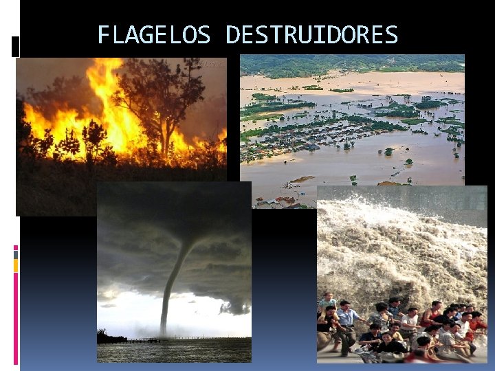 FLAGELOS DESTRUIDORES 