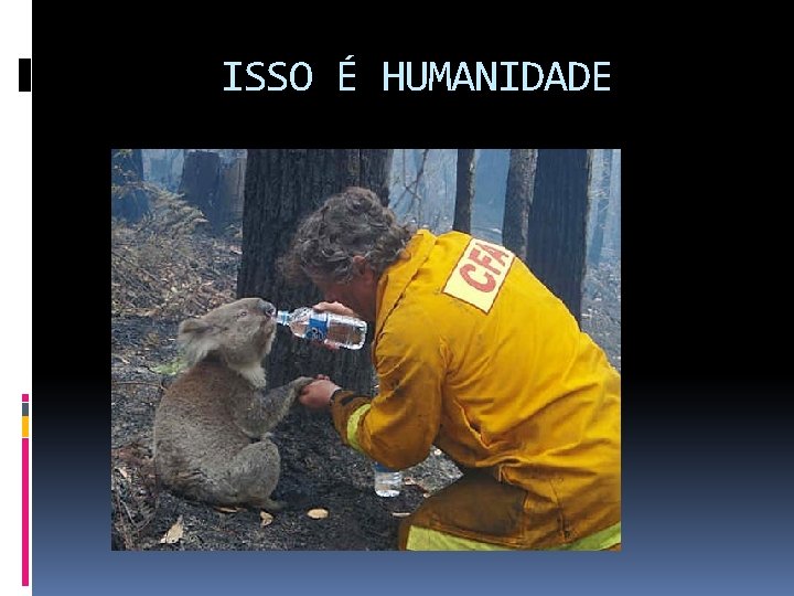 ISSO É HUMANIDADE 