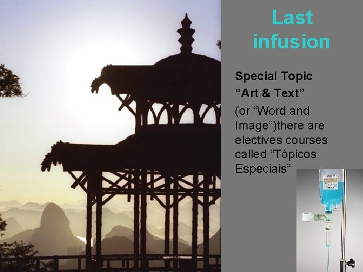 Last infusion Special Topic “Art & Text” (or “Word and Image”)there are electives courses