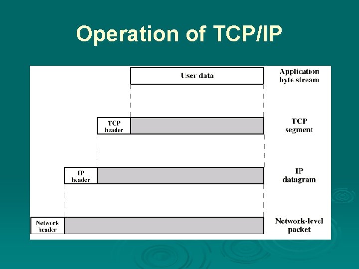 Operation of TCP/IP 