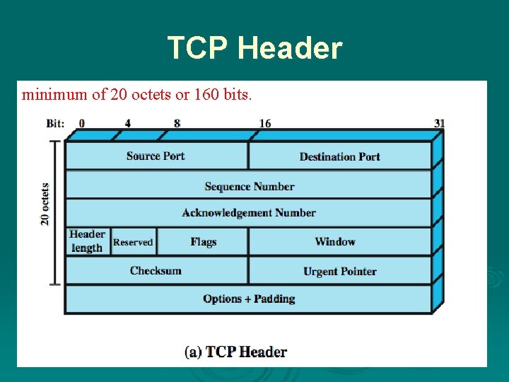 TCP Header minimum of 20 octets or 160 bits. 