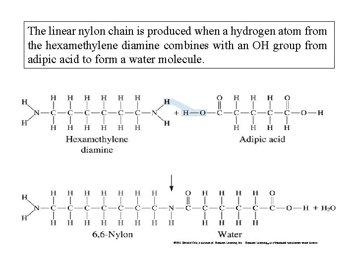 The linear nylon chain is produced when a hydrogen atom from the hexamethylene diamine