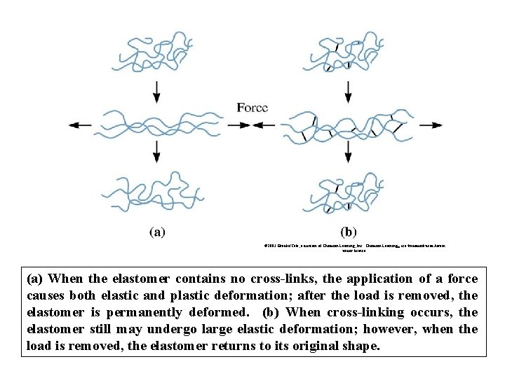 © 2003 Brooks/Cole, a division of Thomson Learning, Inc. Thomson Learning™ is a trademark
