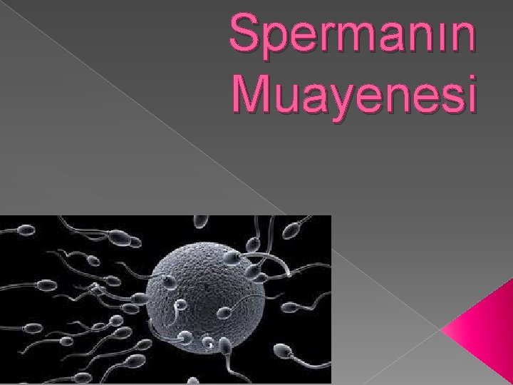 Spermanın Muayenesi 