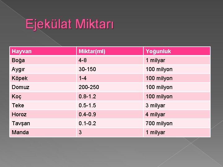 Ejekülat Miktarı Hayvan Miktar(ml) Yoğunluk Boğa 4 -8 1 milyar Aygır 30 -150 100
