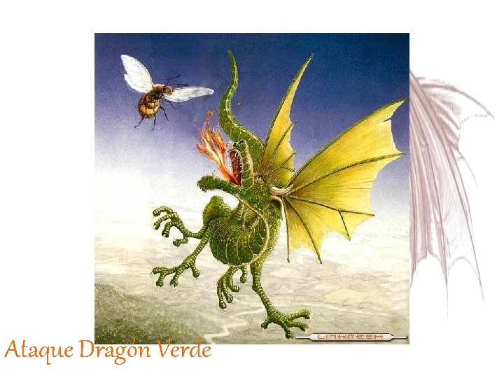 Ataque Dragón Verde 