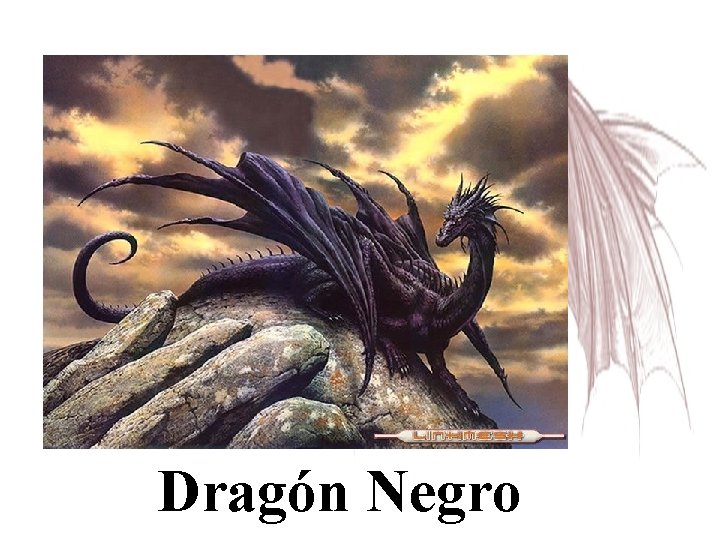 Dragón Negro 