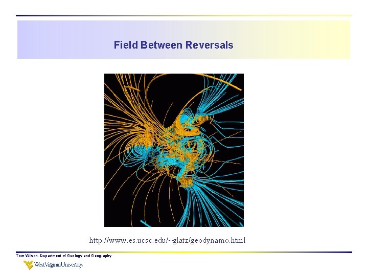 Field Between Reversals Normal dipolar field http: //www. es. ucsc. edu/~glatz/geodynamo. html Tom Wilson,