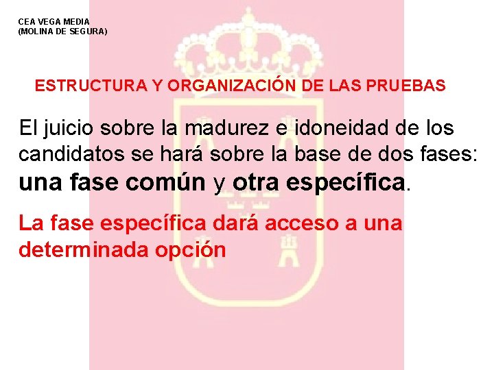 CEA VEGA MEDIA (MOLINA DE SEGURA) ESTRUCTURA Y ORGANIZACIÓN DE LAS PRUEBAS El juicio CEA VEGA MEDIA (MOLINA DE SEGURA) ESTRUCTURA Y ORGANIZACIÓN DE LAS PRUEBAS El juicio