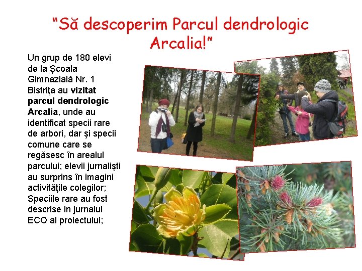 “Să descoperim Parcul dendrologic Arcalia!” Un grup de 180 elevi de la Şcoala Gimnazială