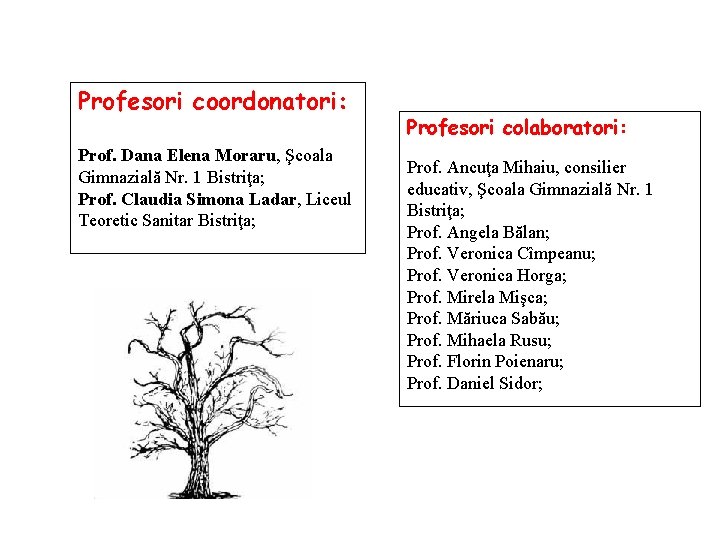 Profesori coordonatori: Prof. Dana Elena Moraru, Şcoala Gimnazială Nr. 1 Bistriţa; Prof. Claudia Simona