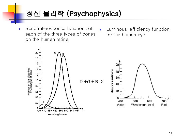 정신 물리학 (Psychophysics) n Spectral-response functions of each of the three types of cones