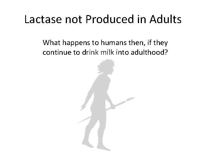 Lactase not Produced in Adults What happens to humans then, if they continue to