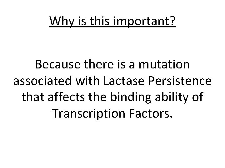 Why is this important? Because there is a mutation associated with Lactase Persistence that
