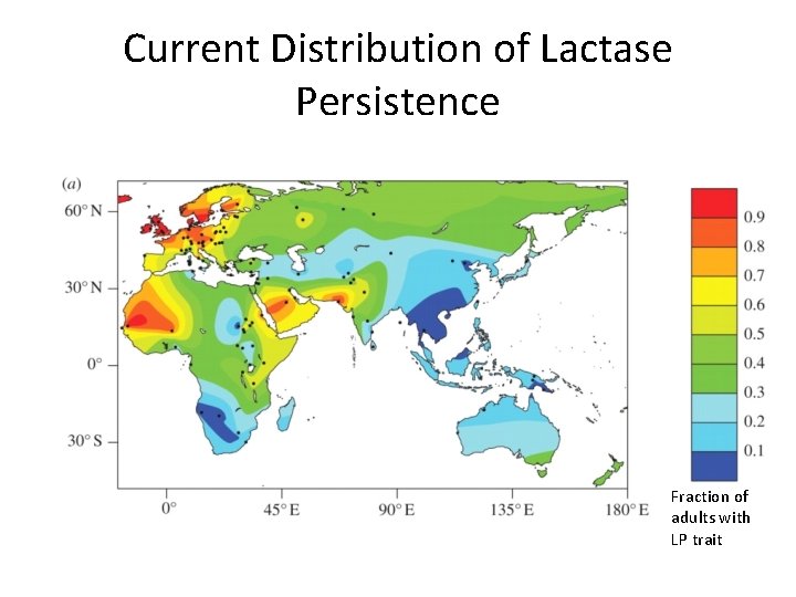 Current Distribution of Lactase Persistence Fraction of adults with LP trait 