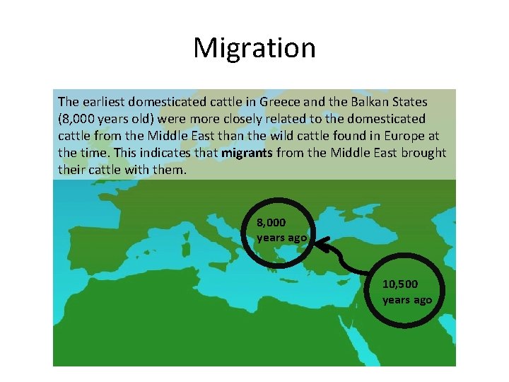 Migration The earliest domesticated cattle in Greece and the Balkan States (8, 000 years