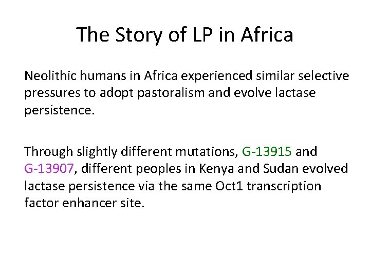 The Story of LP in Africa Neolithic humans in Africa experienced similar selective pressures