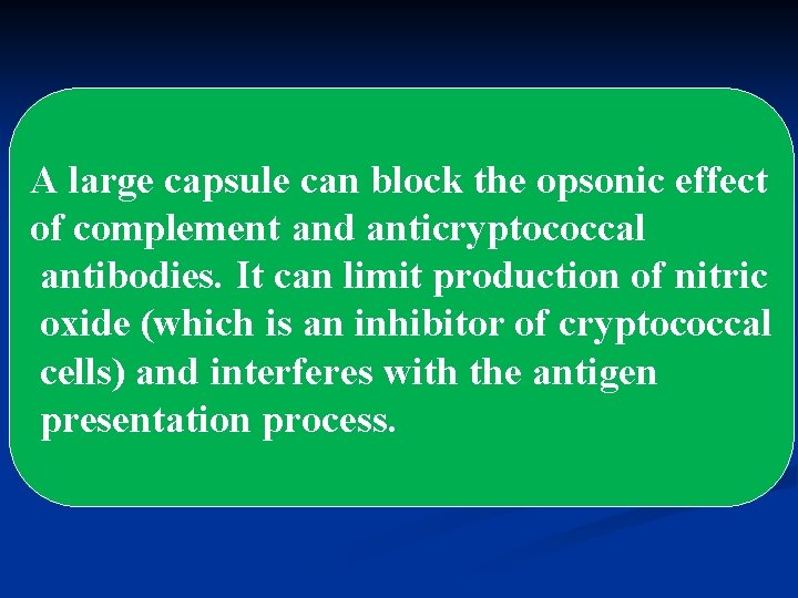 A large capsule can block the opsonic effect of complement and anticryptococcal antibodies. It