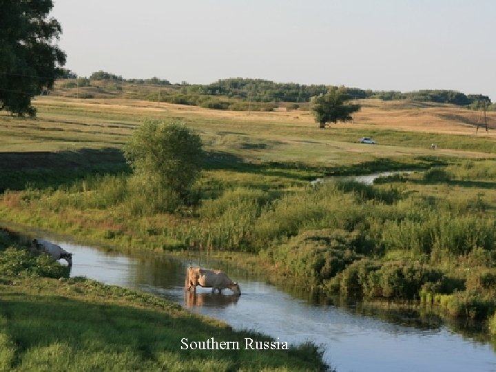 Southern Russia 