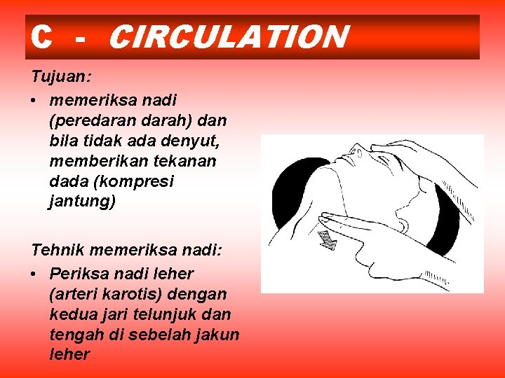 C - CIRCULATION Tujuan: • memeriksa nadi (peredaran darah) dan bila tidak ada denyut,