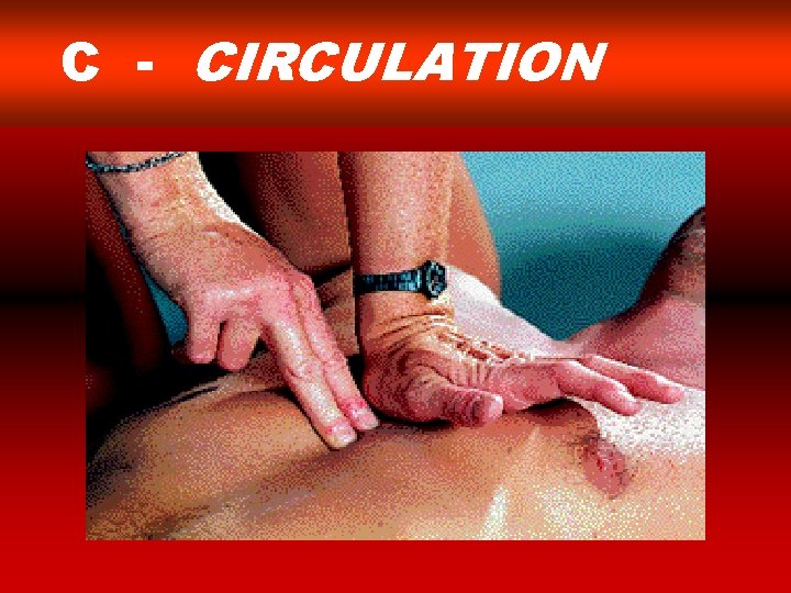 C - CIRCULATION 