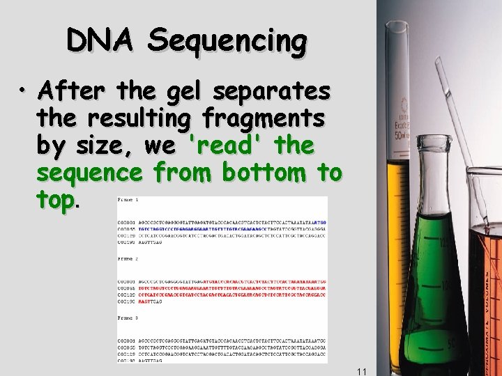DNA Sequencing • After the gel separates the resulting fragments by size, we 'read'