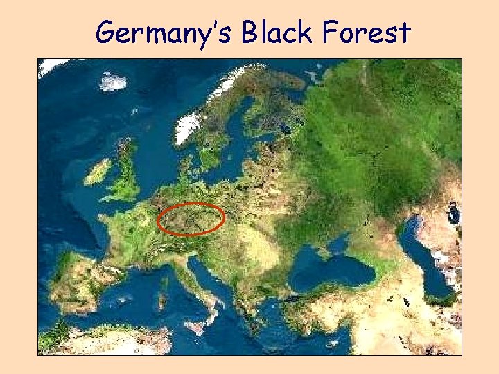 Germany’s Black Forest 