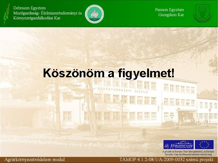 Köszönöm a figyelmet! Köszönöm a figyelmet!