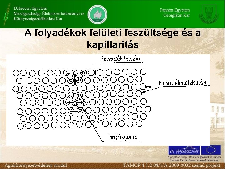 A folyadékok felületi feszültsége és a kapillaritás 