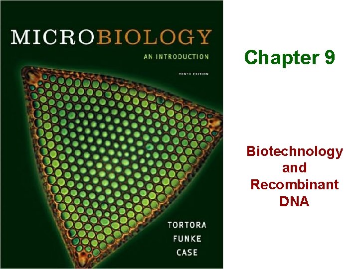 Chapter 9 Biotechnology and Recombinant DNA 