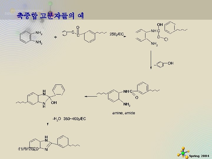 축중합 고분자들의 예 11/6/2020 Spring 2004 