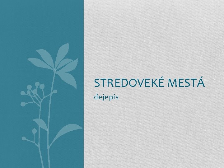 STREDOVEKÉ MESTÁ dejepis 