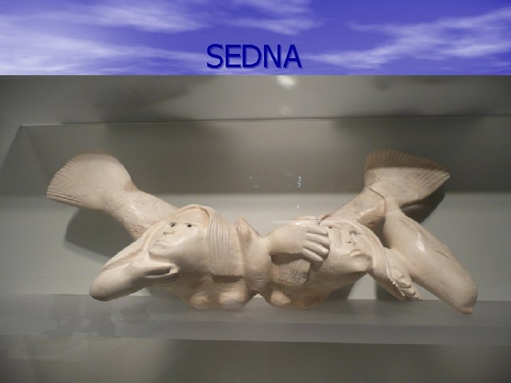  SEDNA 